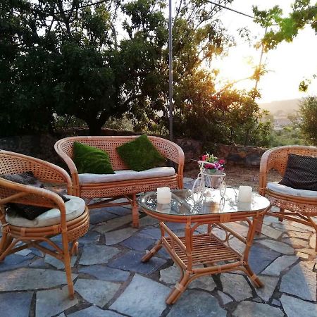 Theasea House With Garden Riglia Exterior foto